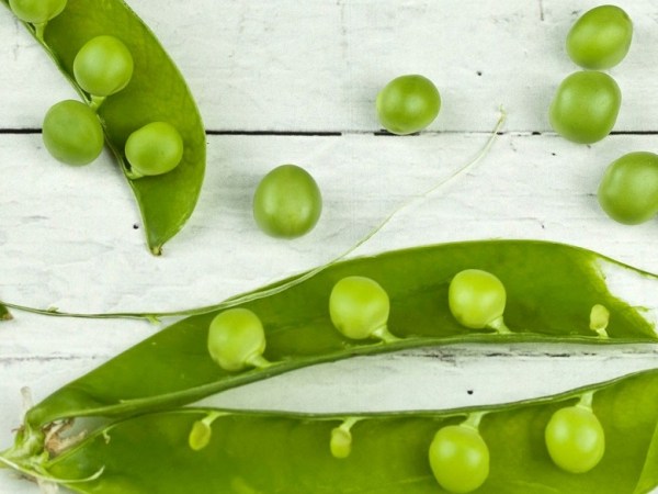 Blog: 8 Benefits of a Fractional CMO&nbsp;Pod